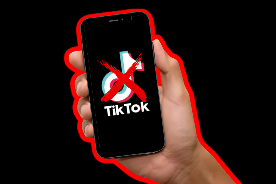 What is TikTok Bannned